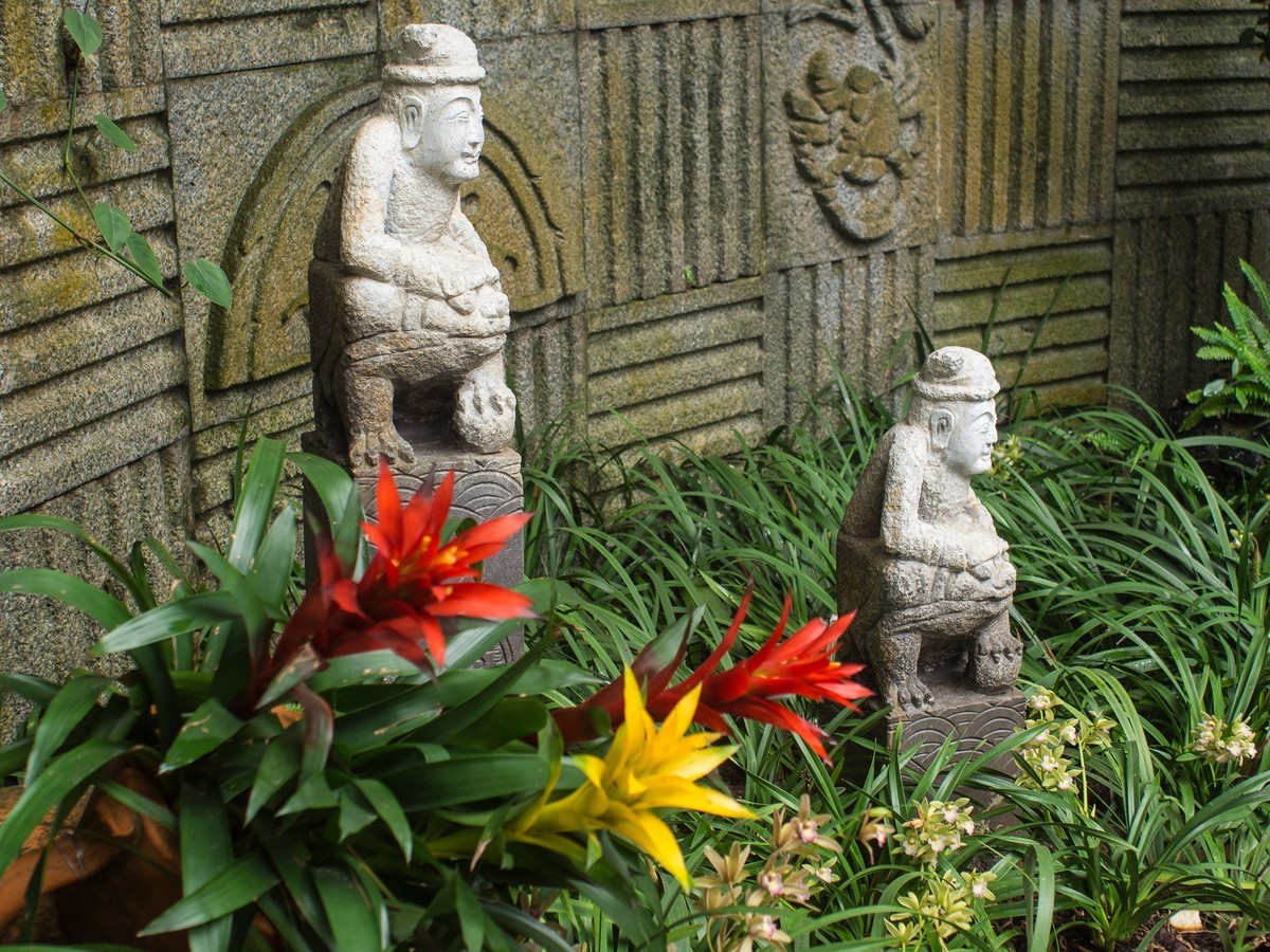 E-M10II转接老手动镜头行摄