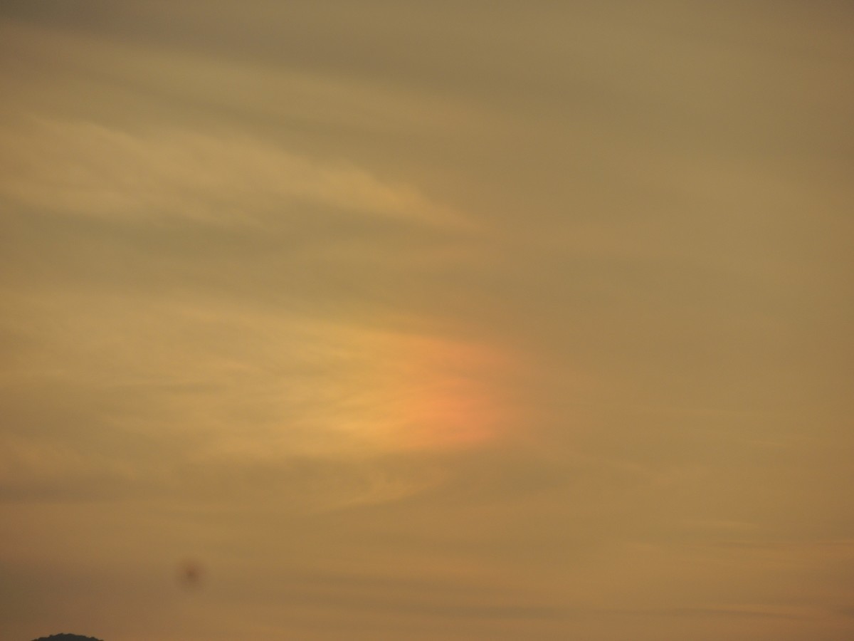 夕阳无限好  好几年没上图了，现在上几张给亲们欣赏一下