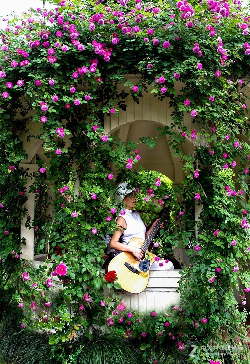 #正是一年最美时# 又到春花烂漫时