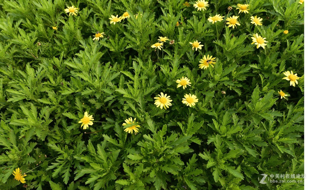 首次使用14-24......