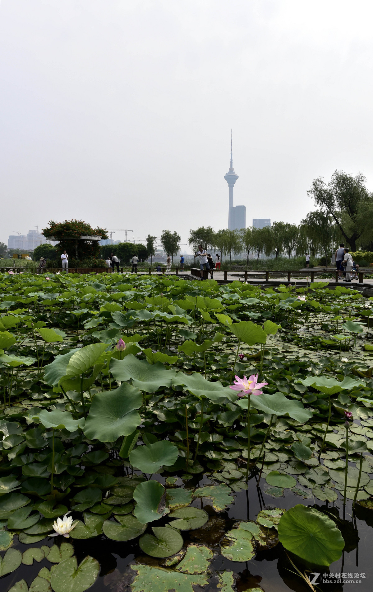 首次使用14-24......