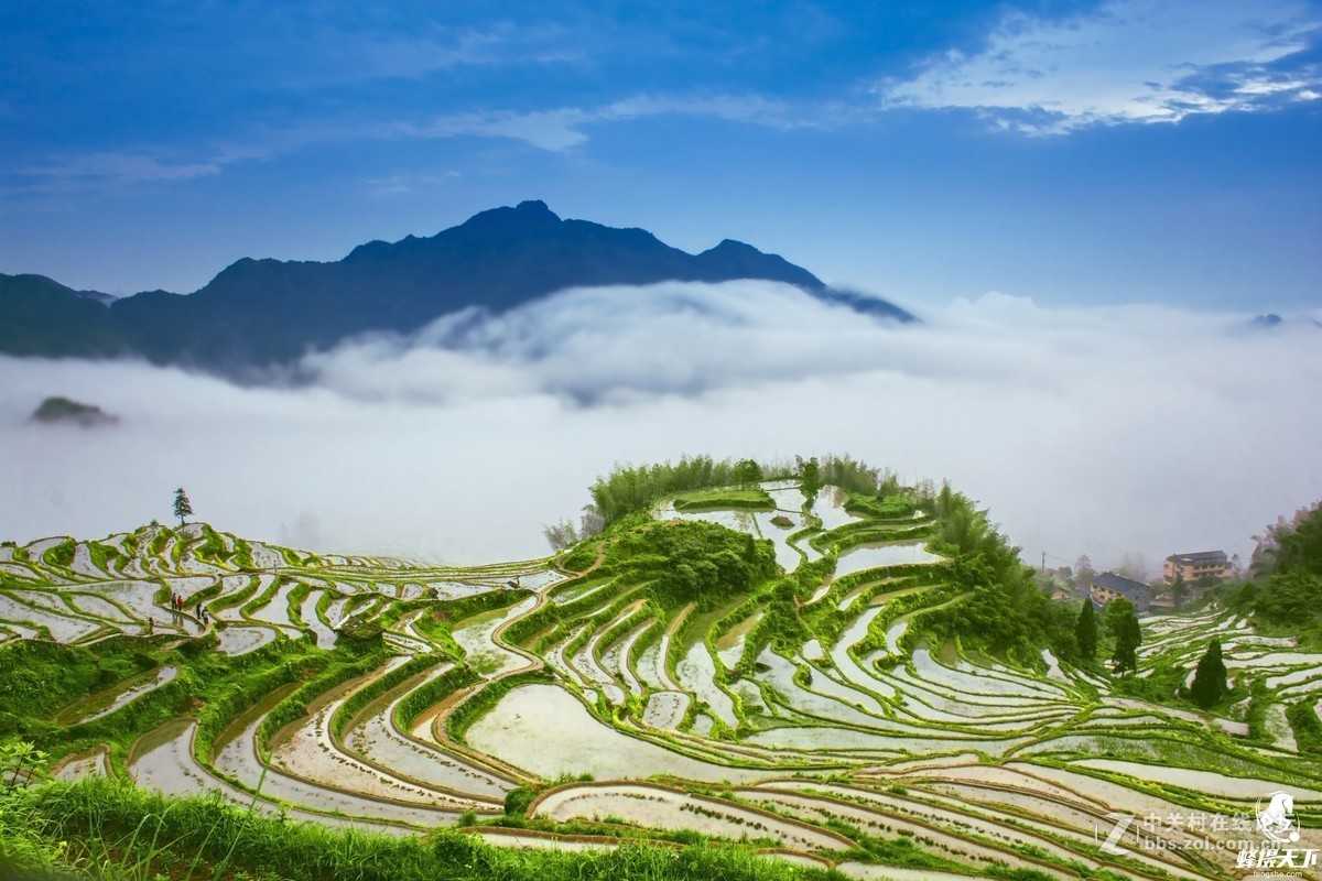 蜂摄天下——风光旖旎 秀美丽水
