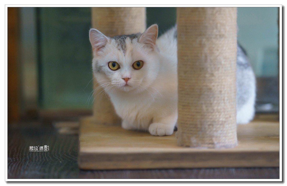 索尼FE 135mm f/1.8 GM镜头 一组试镜相片