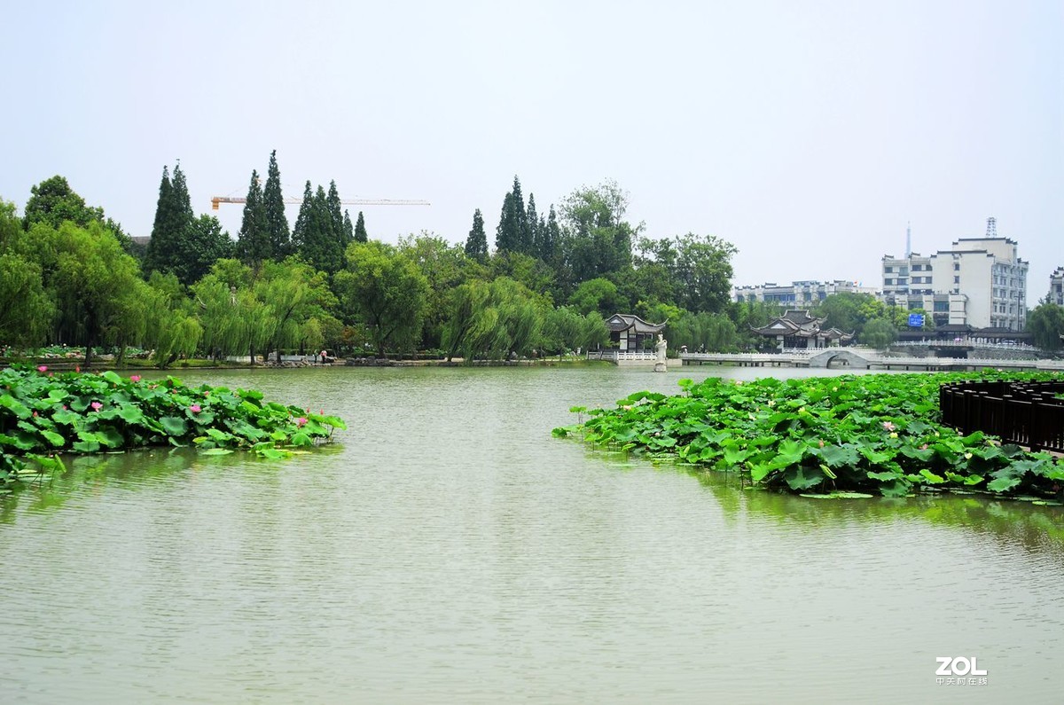 揚州荷花池公園風景335