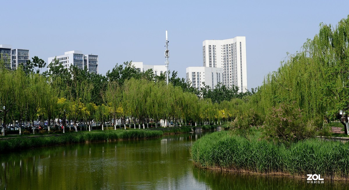 市内公园随拍