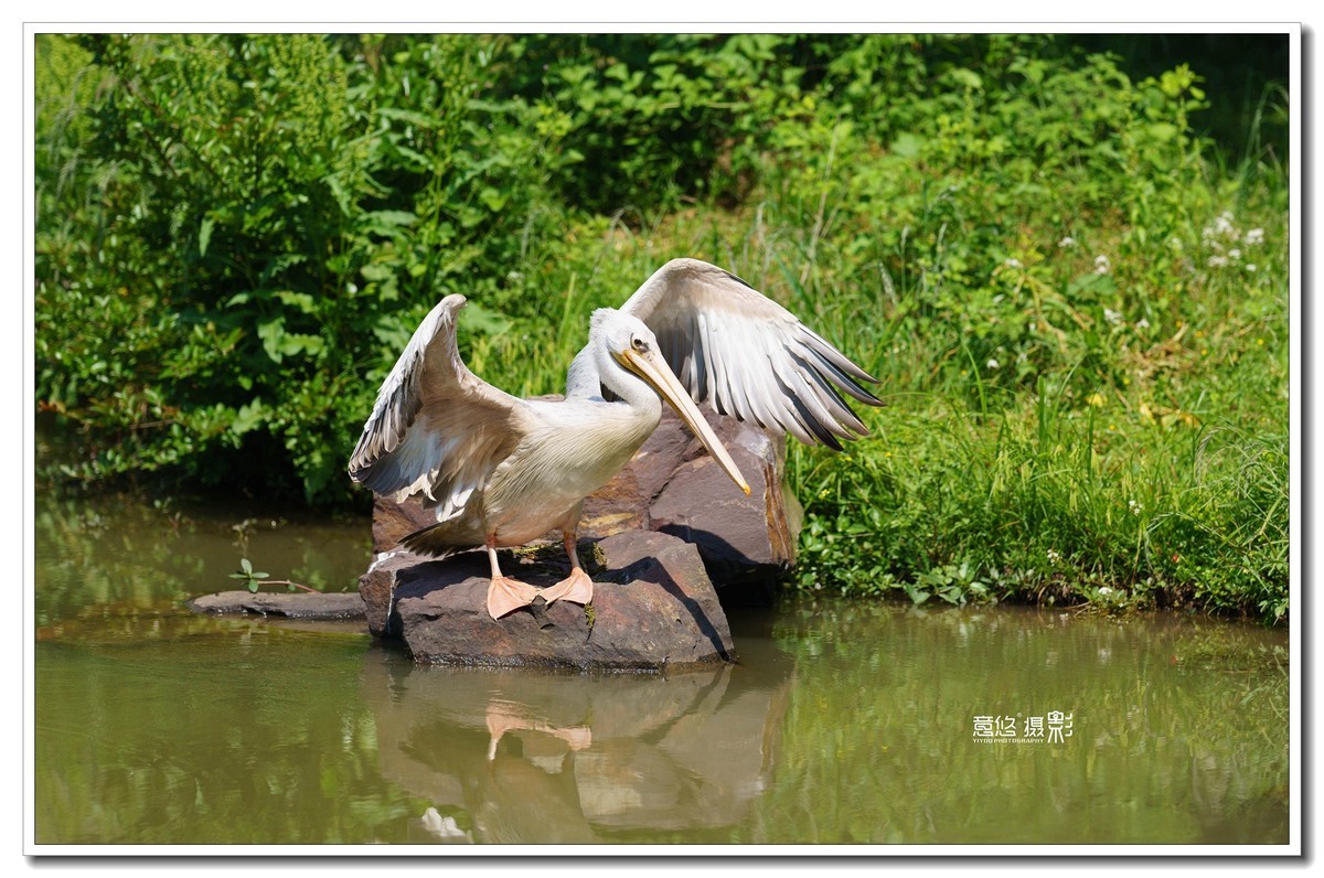 索尼FE 135mm f/1.8 GM镜头 一组试镜相片