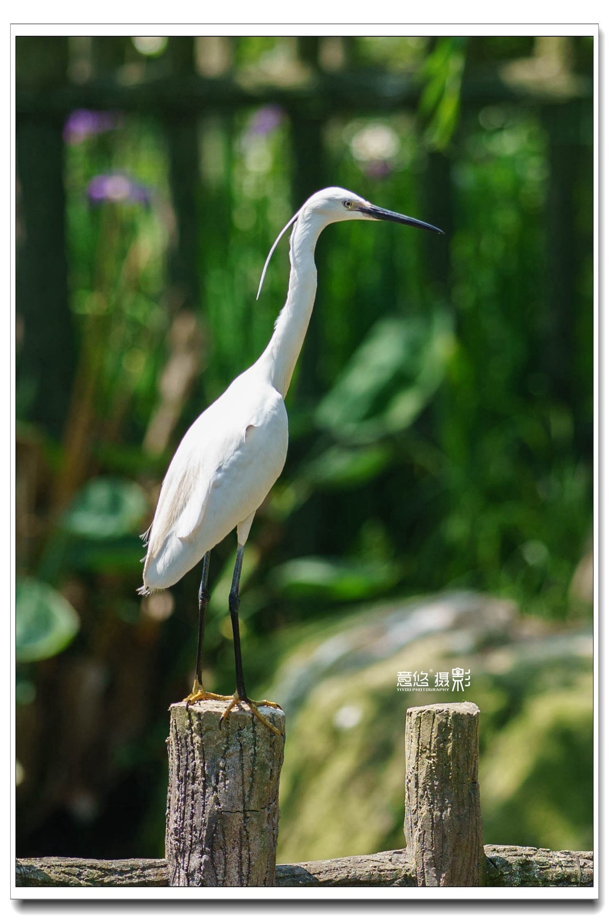 索尼FE 135mm f/1.8 GM镜头 一组试镜相片