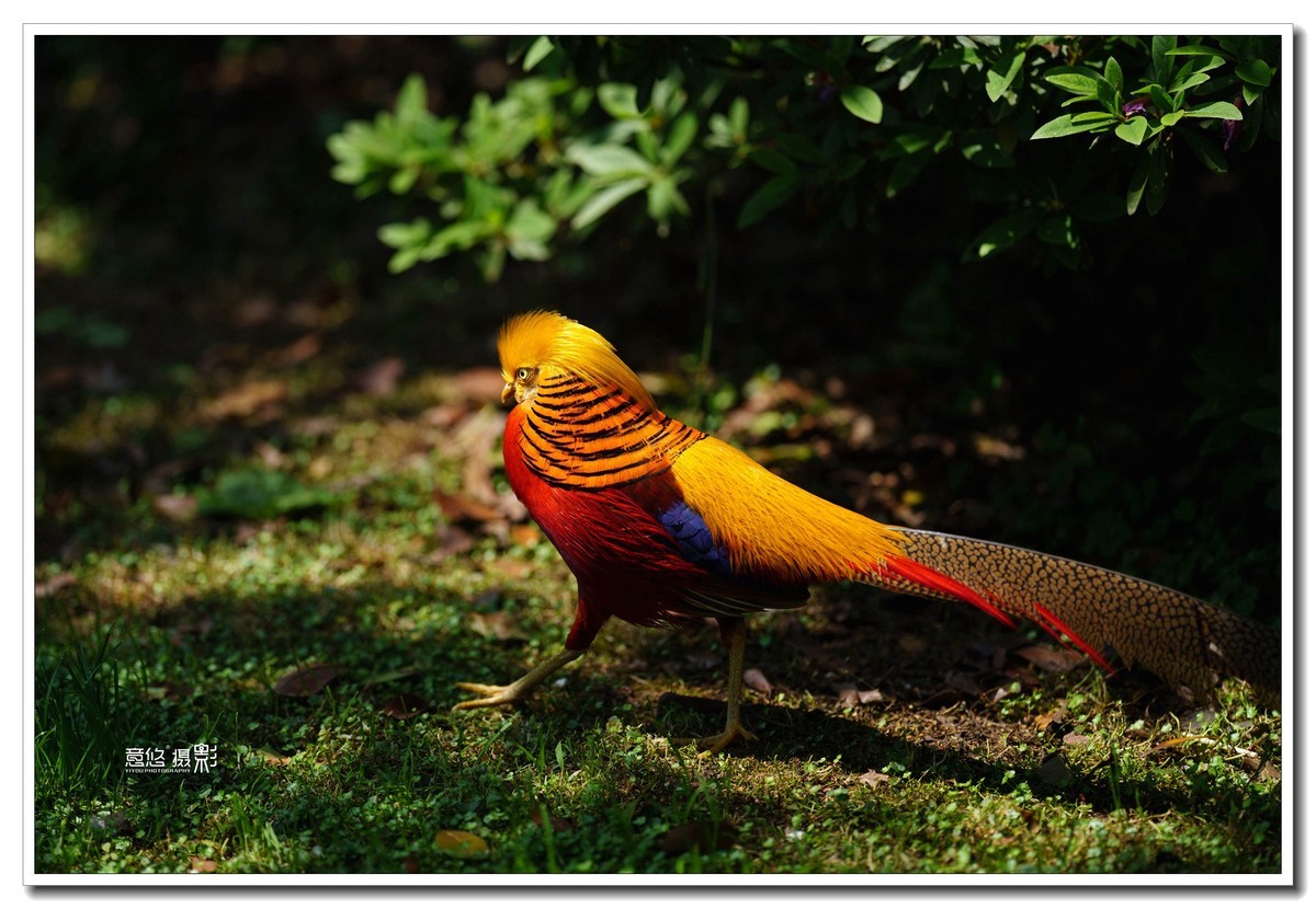 索尼FE 135mm f/1.8 GM镜头 一组试镜相片