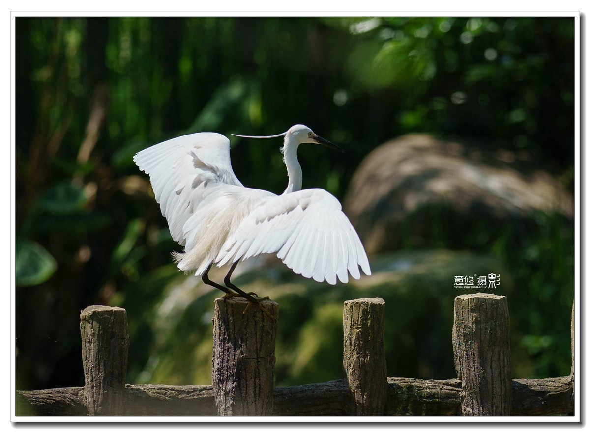 索尼FE 135mm f/1.8 GM镜头 一组试镜相片