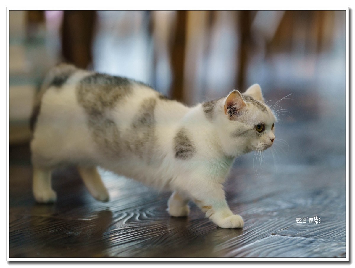 索尼FE 135mm f/1.8 GM镜头 一组试镜相片