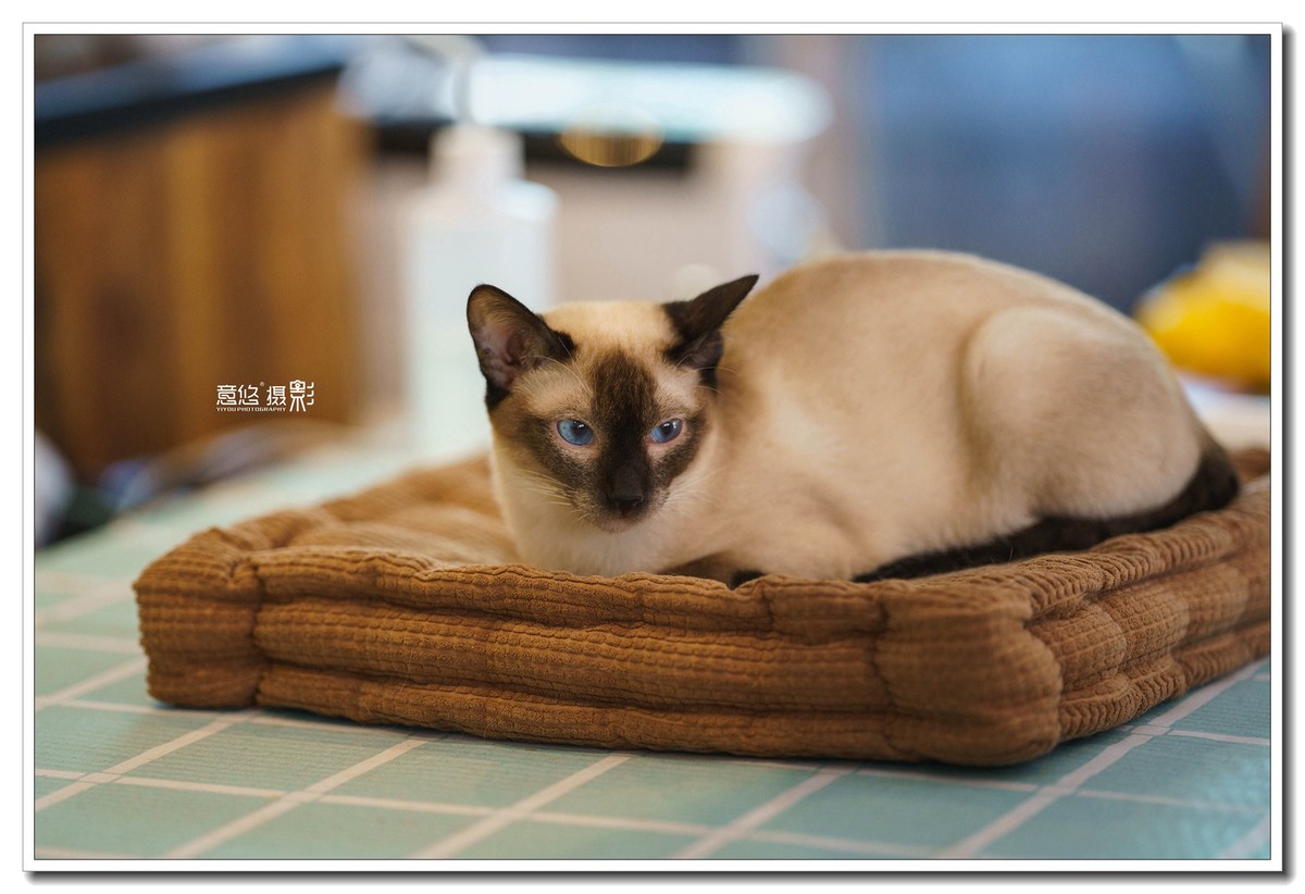 索尼FE 135mm f/1.8 GM镜头 一组试镜相片