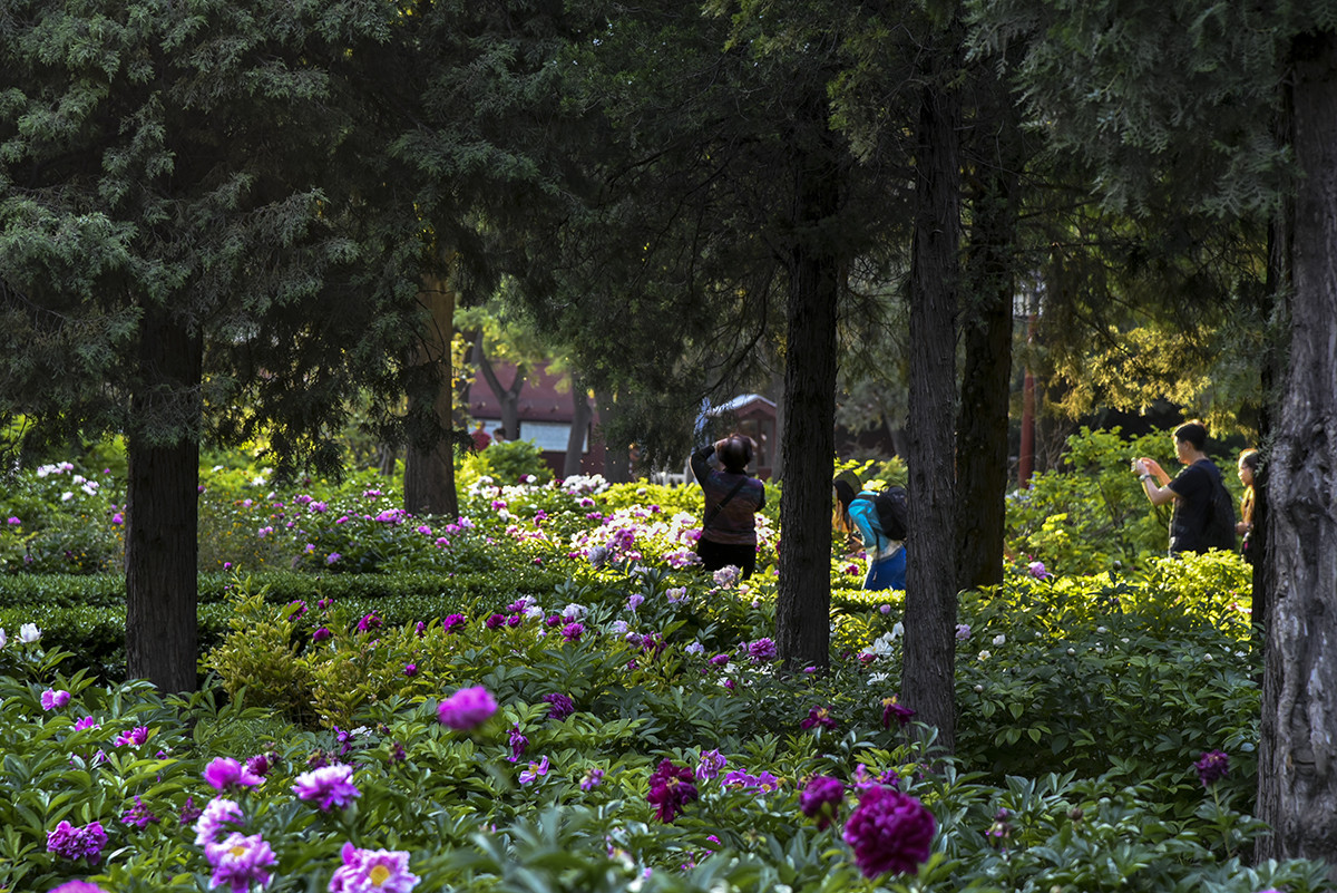 试用相机HDR设置的得与失