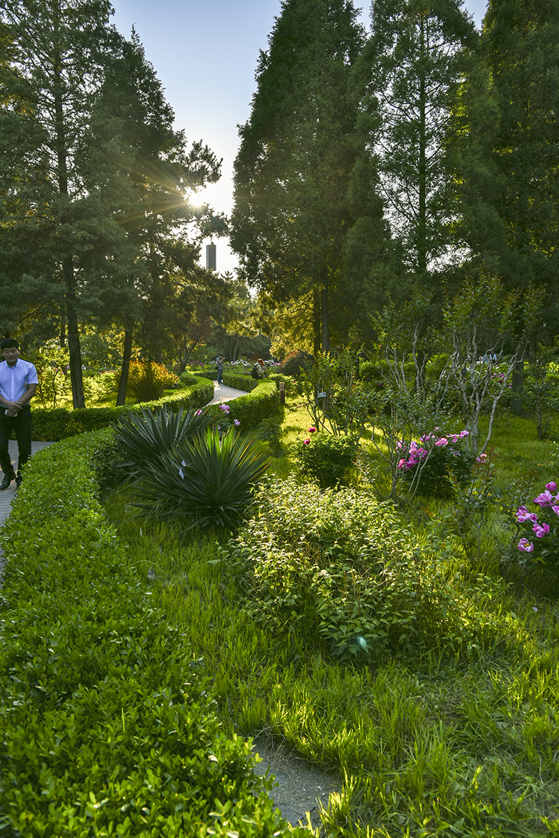 试用相机HDR设置的得与失