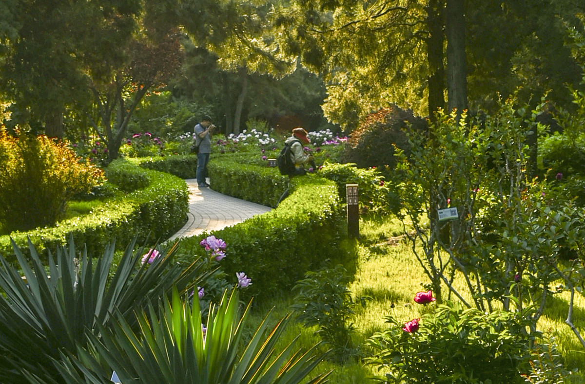 试用相机HDR设置的得与失