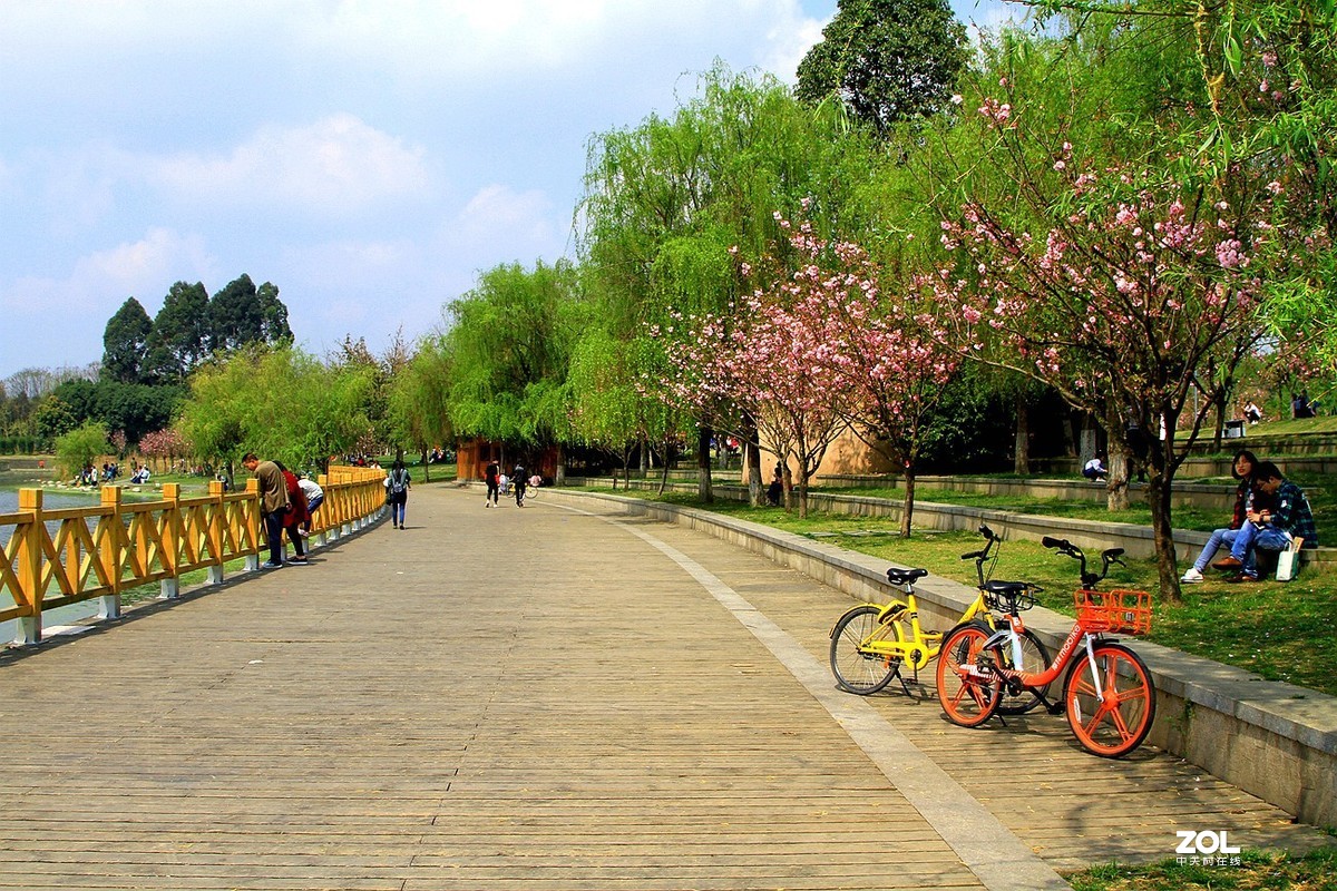 成都双流[中心公园]随拍之十四