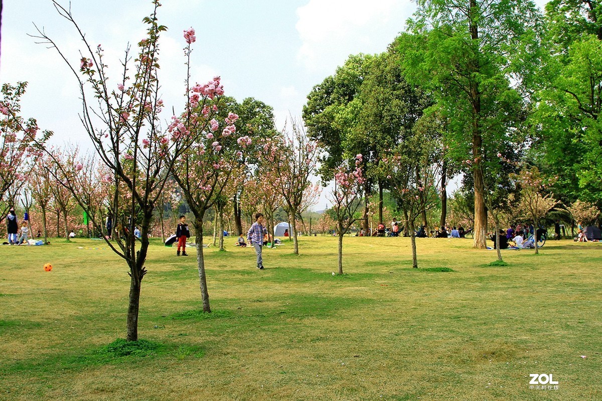 成都双流[中心公园]随拍之十四