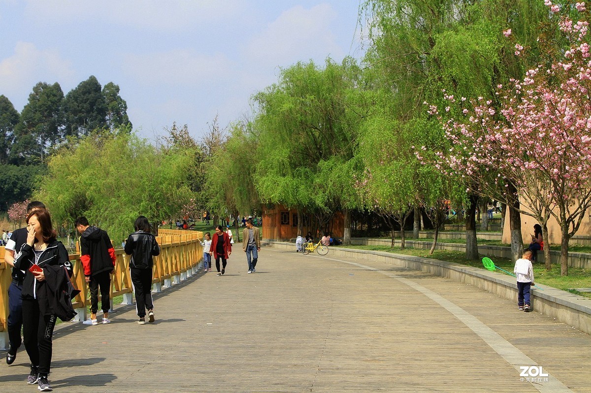 成都双流[中心公园]随拍之十四