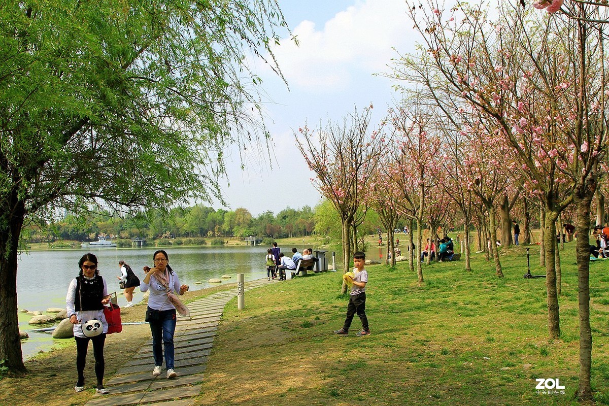 成都双流[中心公园]随拍之十四