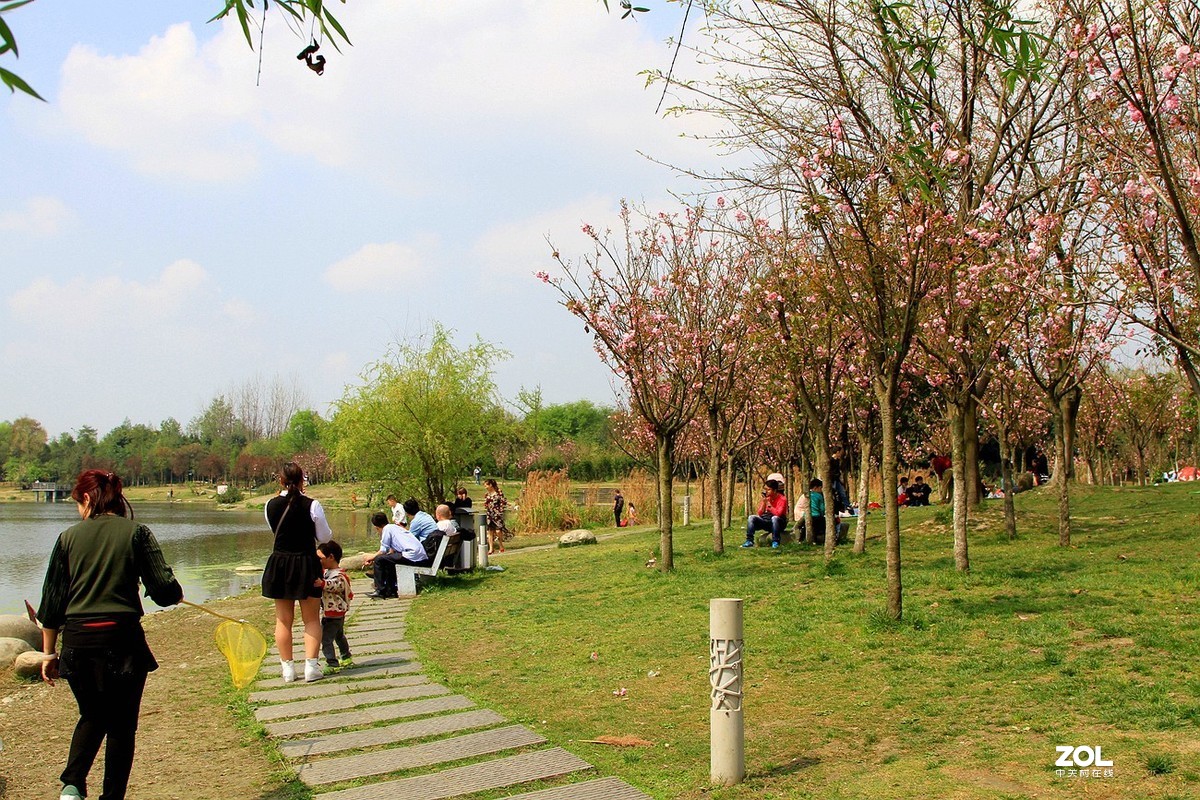 成都双流[中心公园]随拍之十四