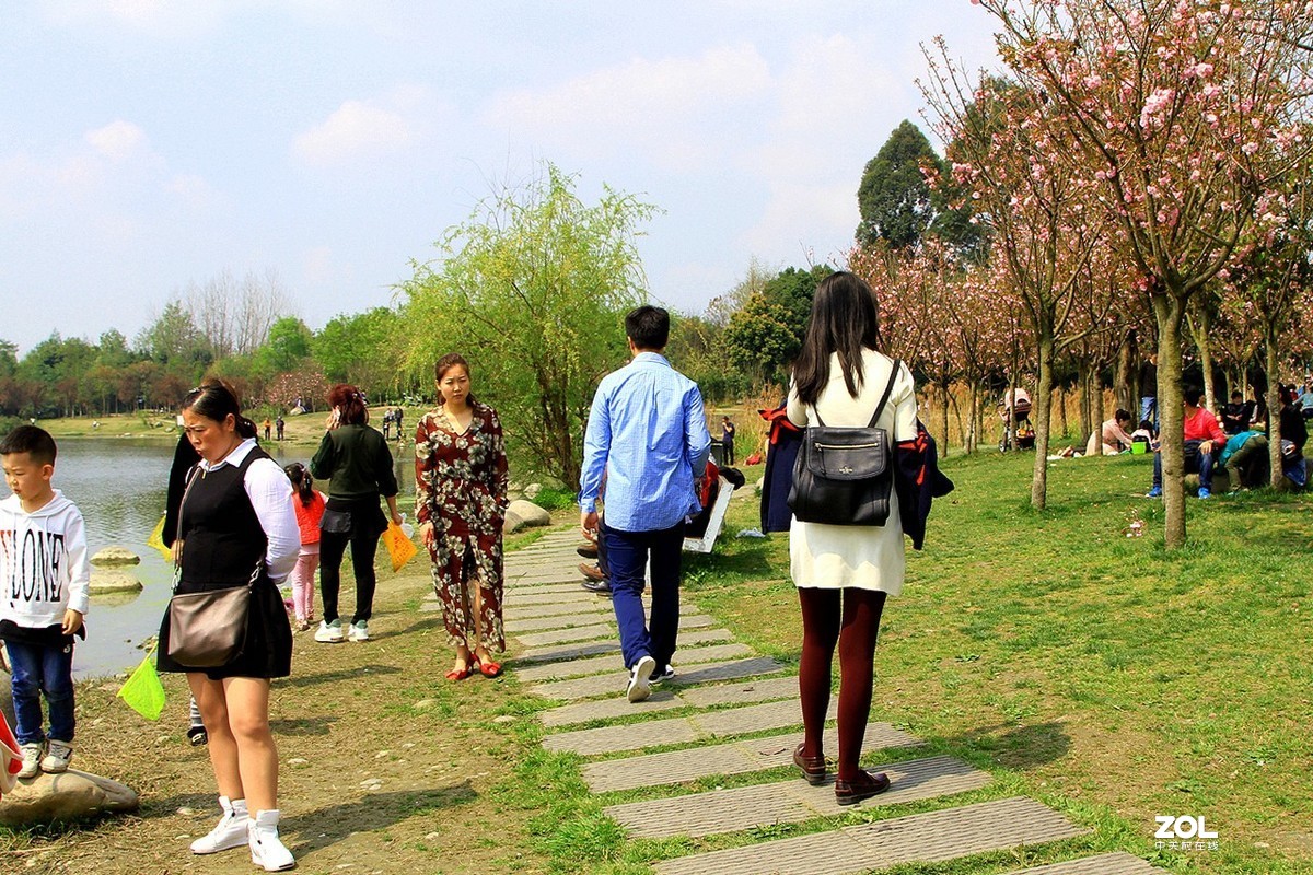 成都双流[中心公园]随拍之十四