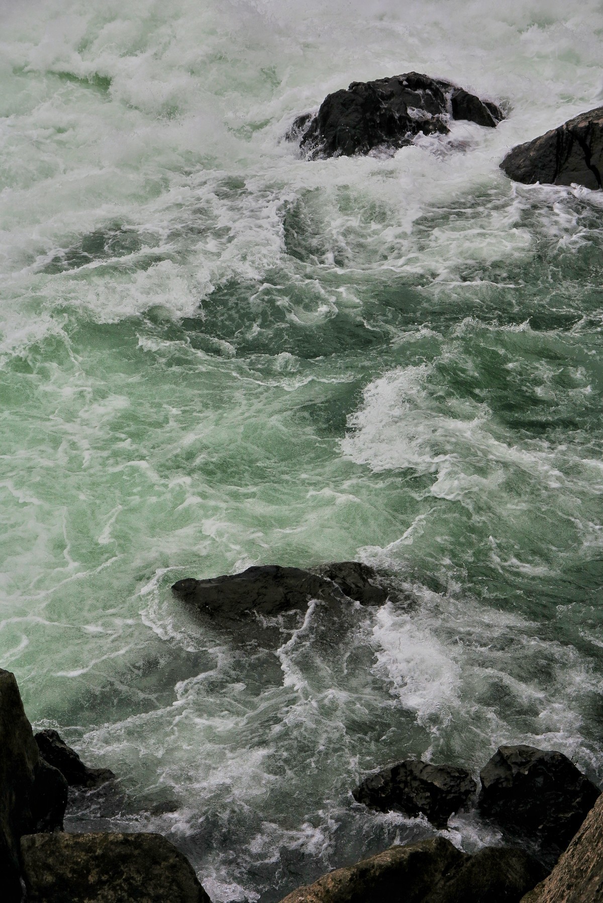 马克兔之“激流双勇进”