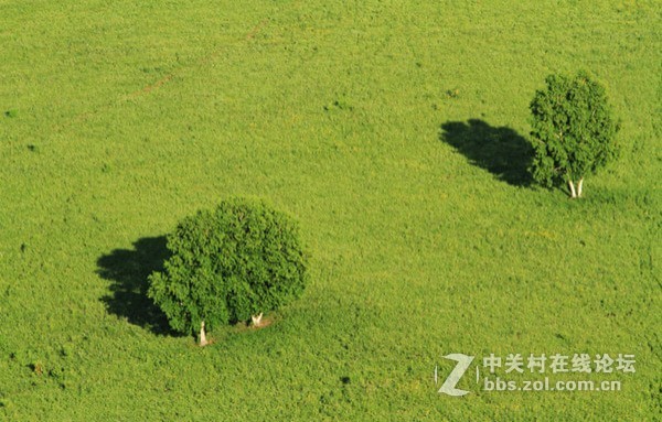 怎一个热字了得，丰宁大汗行宫让你感受什么叫cool夏