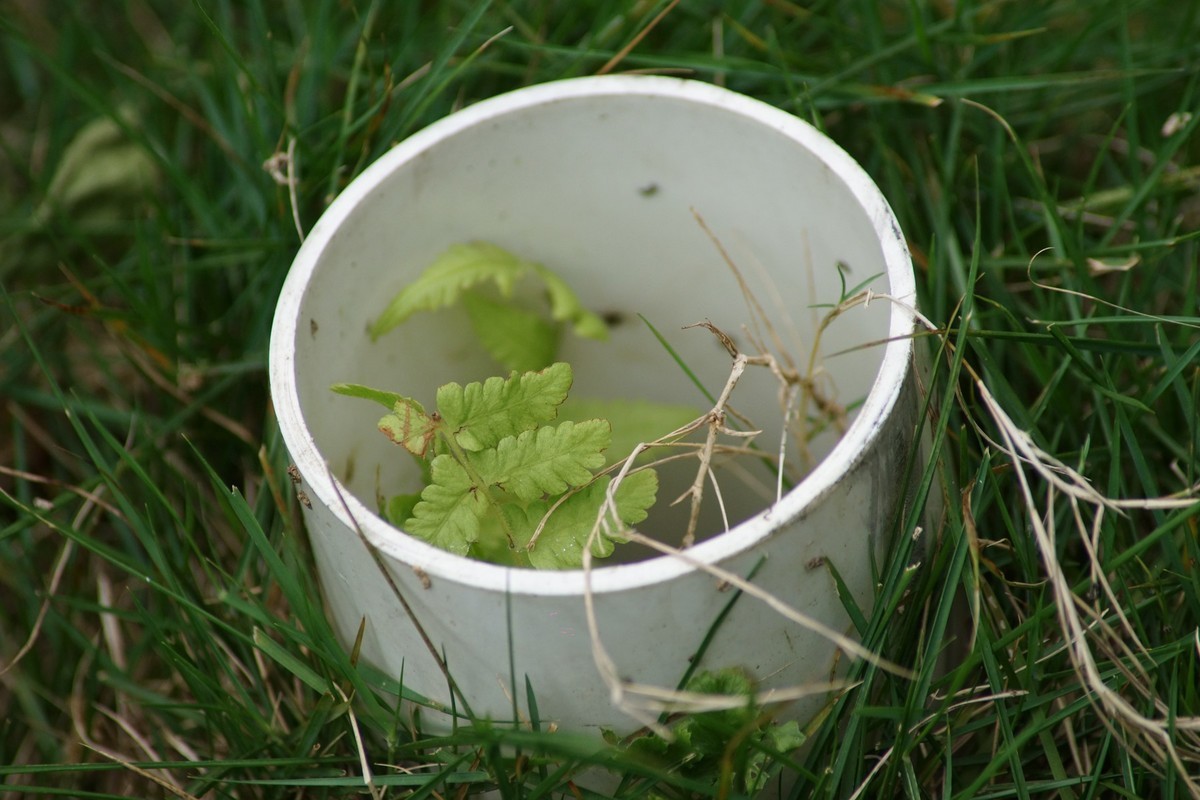 感受大自然的气味