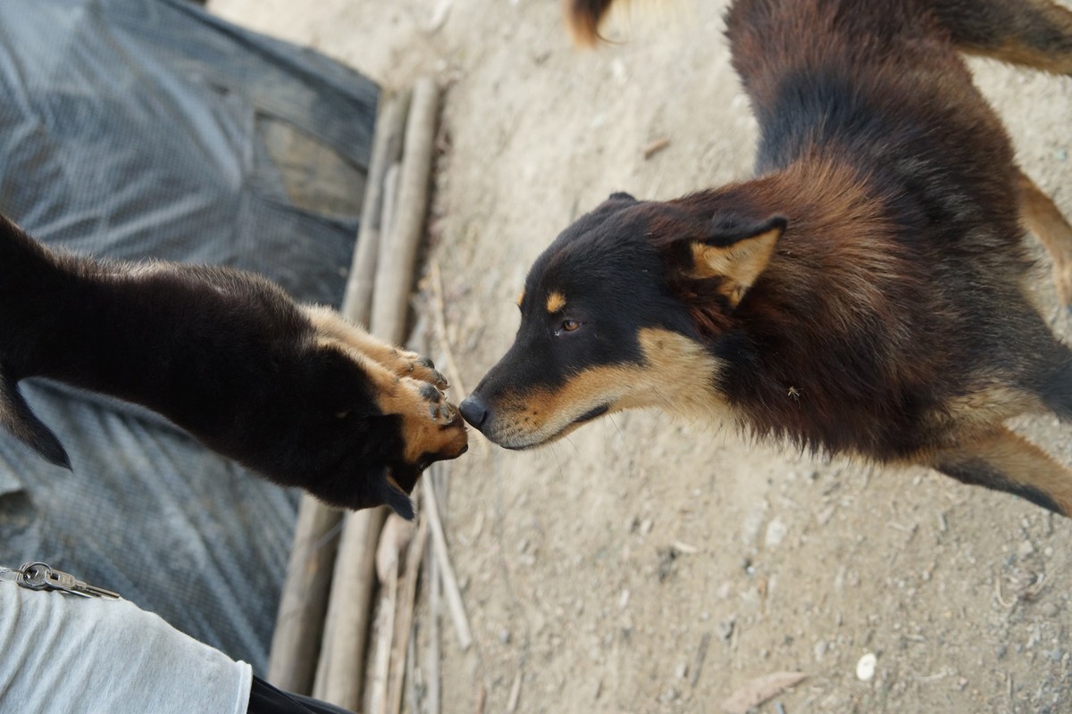 感受大自然的气味