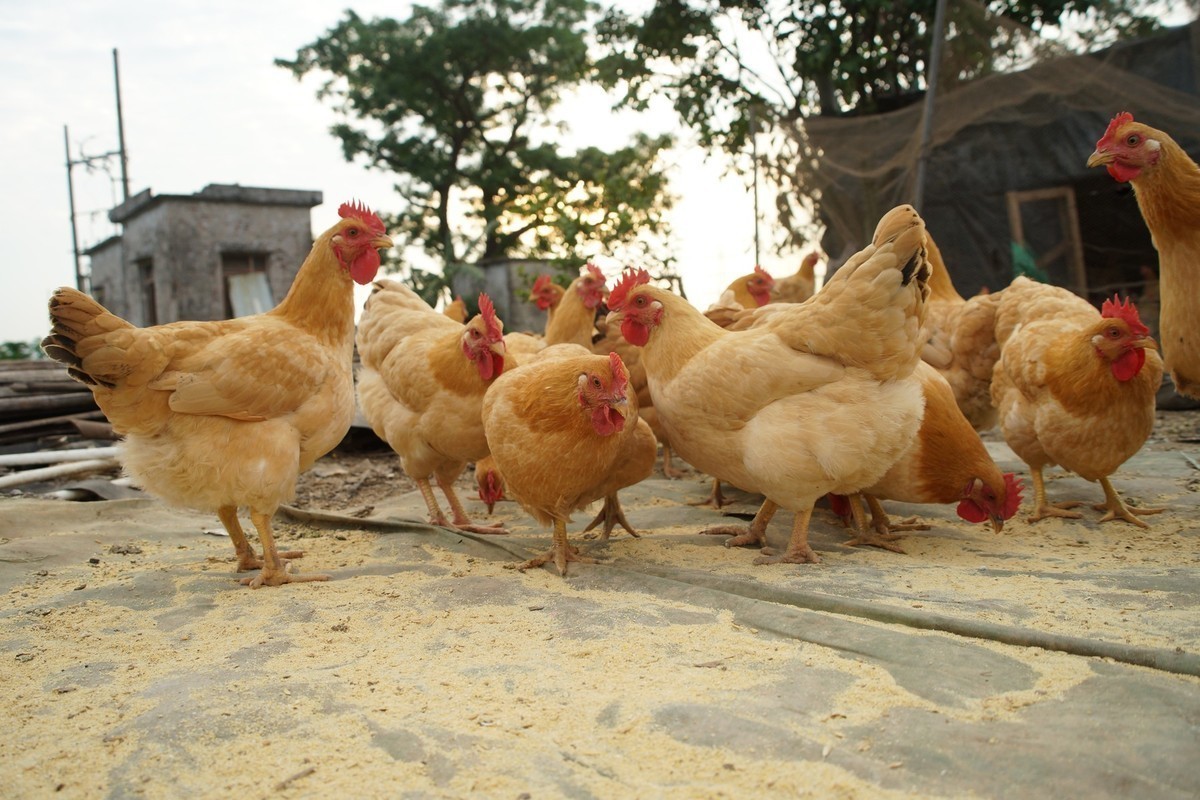 感受大自然的气味