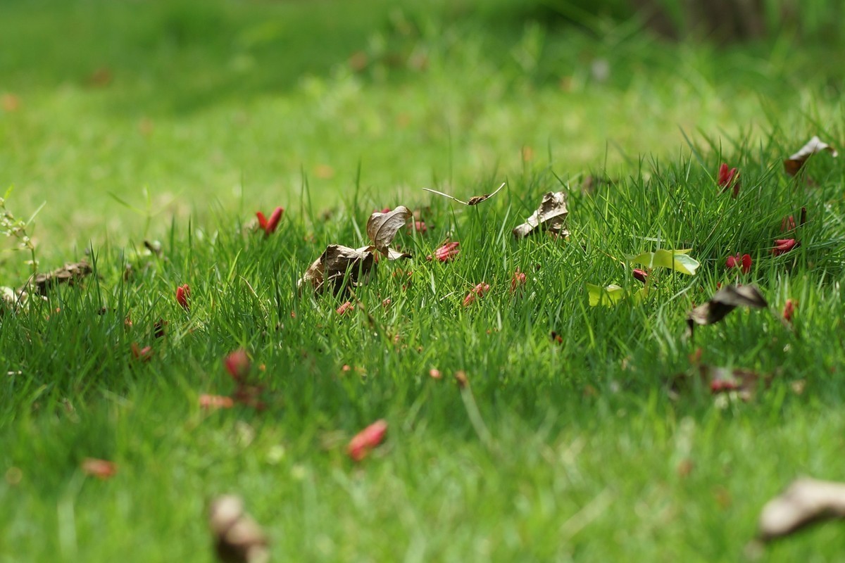 感受大自然的气味