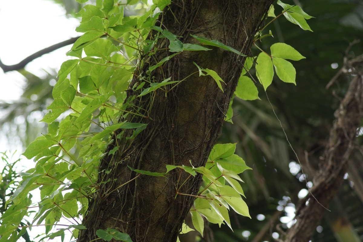 感受大自然的气味