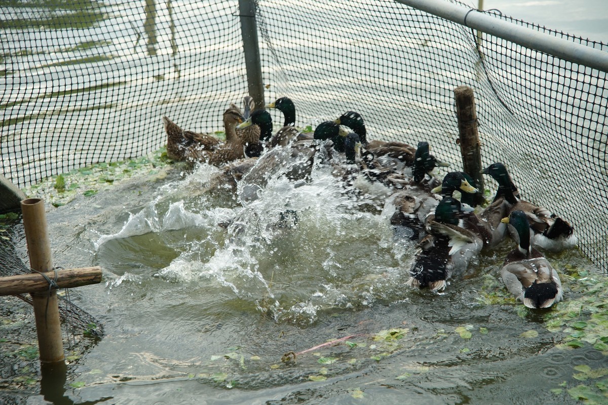 感受大自然的气味