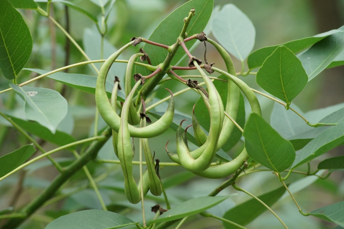 感受大自然的气味