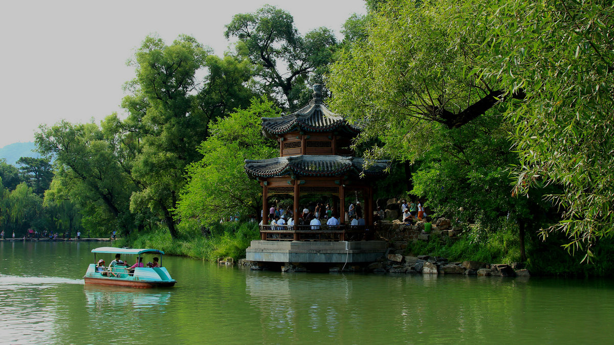 绿色小景