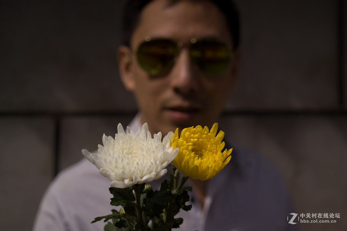 清明，献上两支花