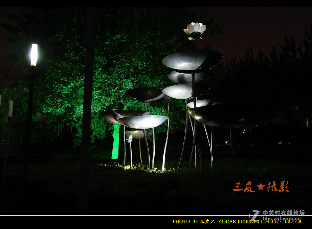 新机到手试机照---风景（含夜景）