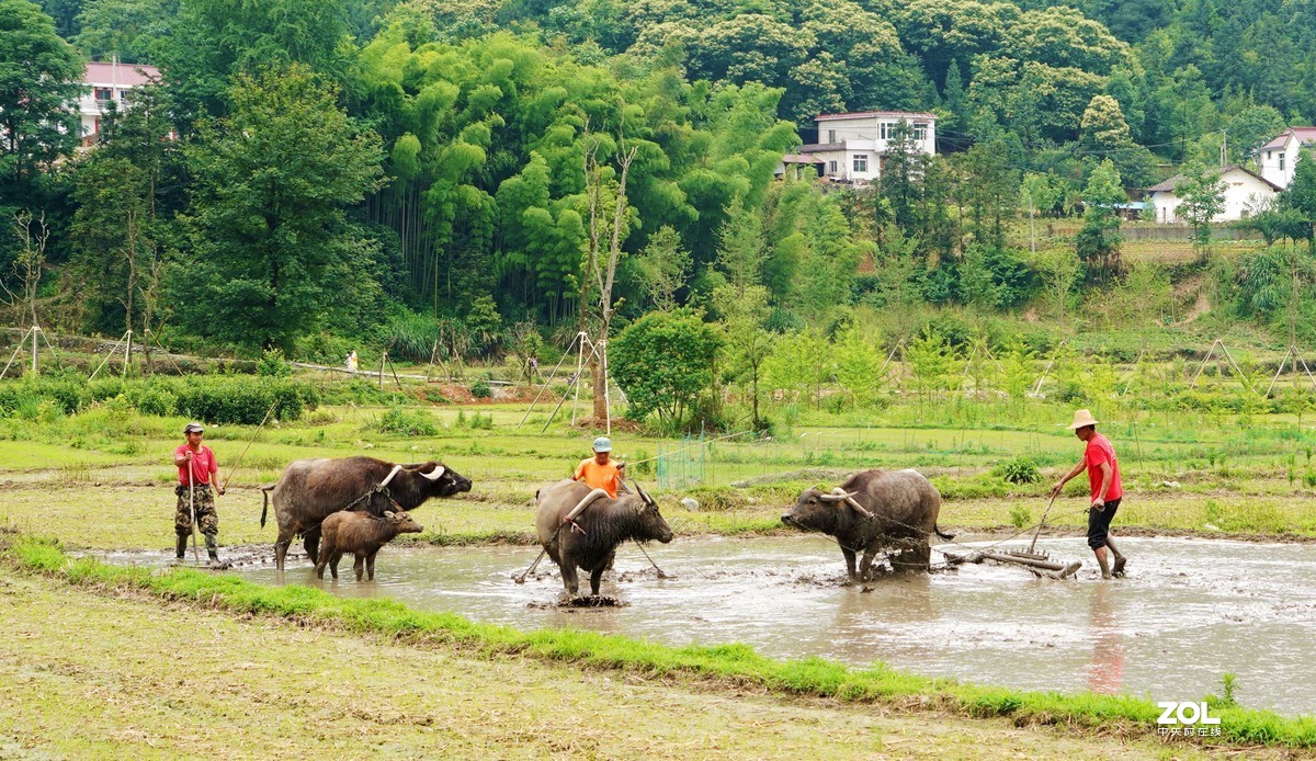 春耕圖《续》，