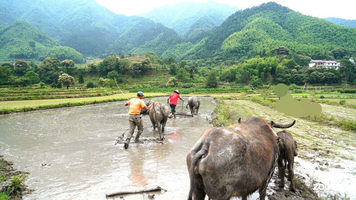 春耕圖《续》，