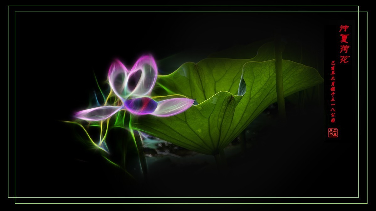 仲夏荷花（39）