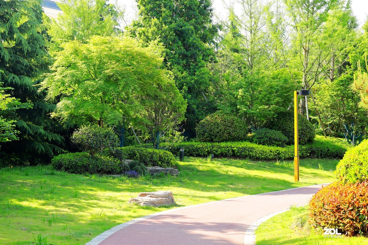 呈上一组渭南春天小景随拍《5》