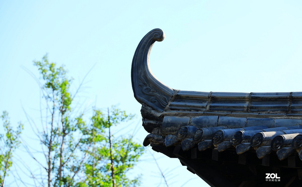 呈上一组渭南春天小景随拍《5》