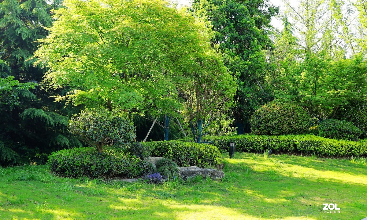 呈上一组渭南春天小景随拍《5》