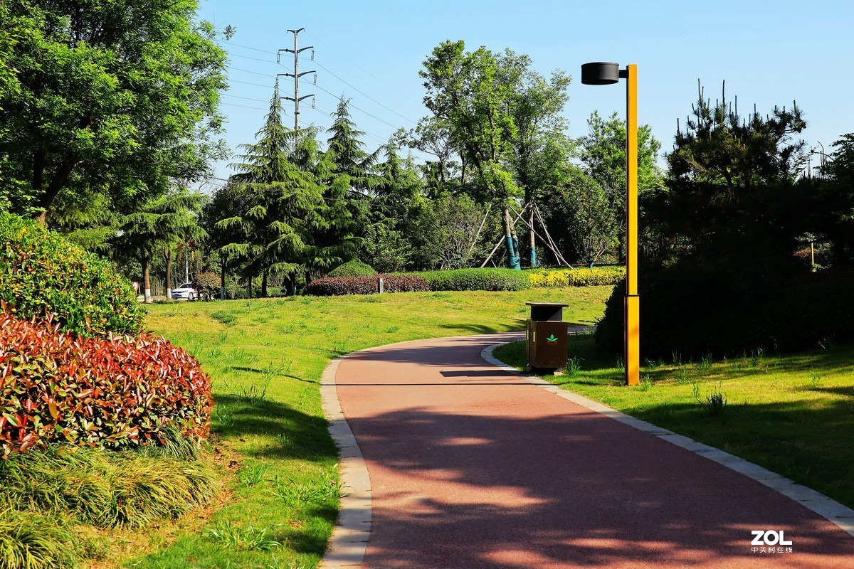 呈上一组渭南春天小景随拍《5》