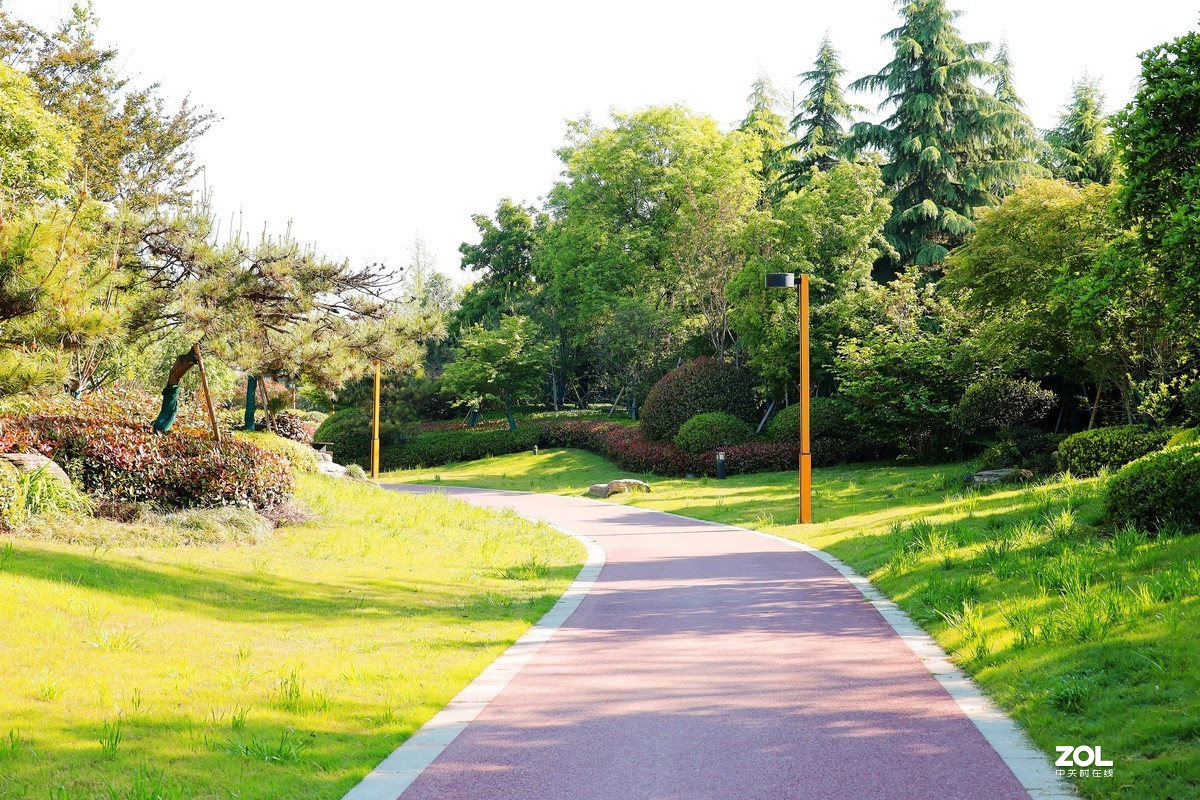 呈上一组渭南春天小景随拍《5》