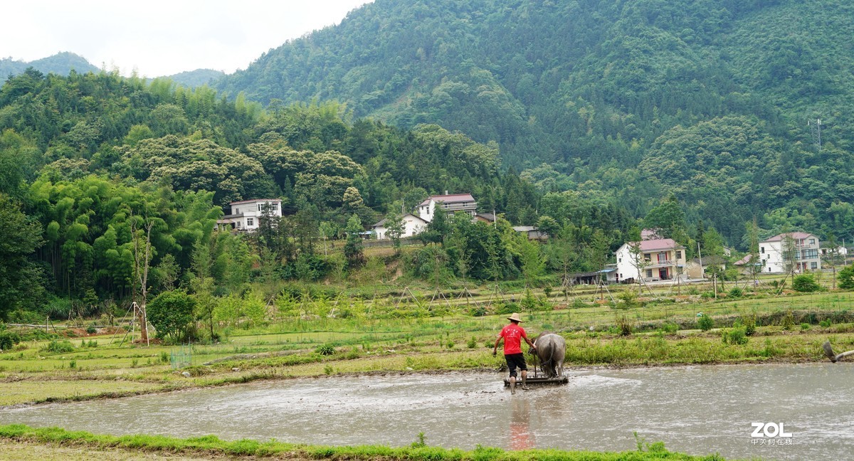 春耕圖《续》，