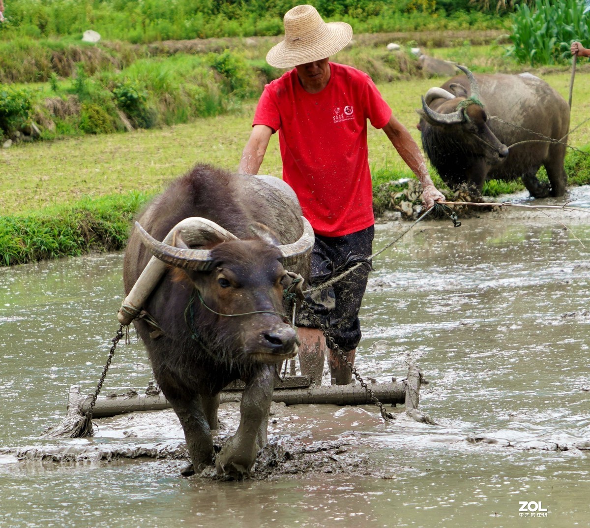 春耕圖《续》，