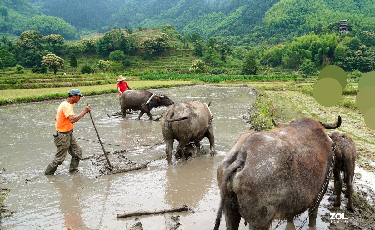 春耕圖《续》，