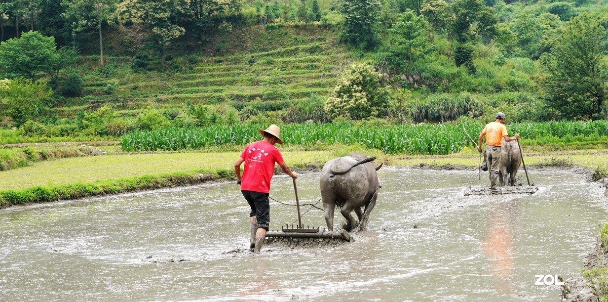 春耕圖《续》，
