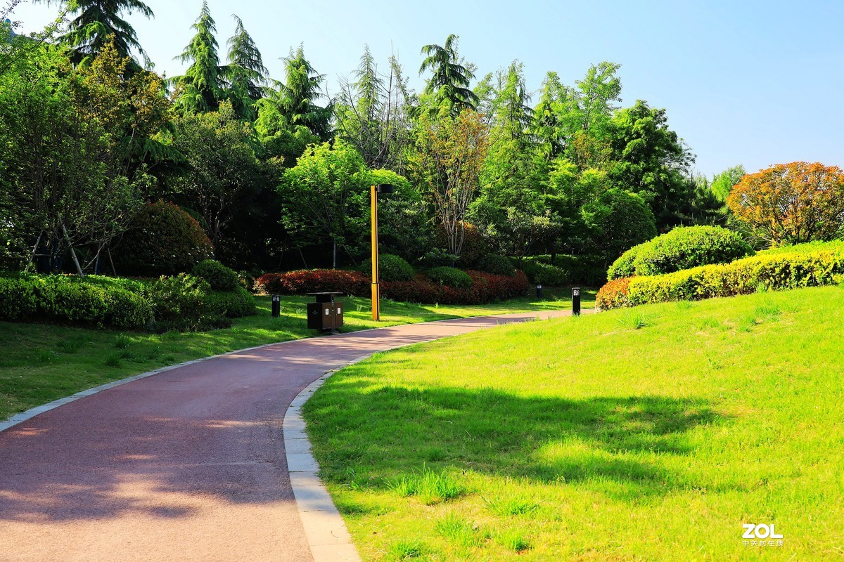 呈上一组渭南春天小景随拍《5》