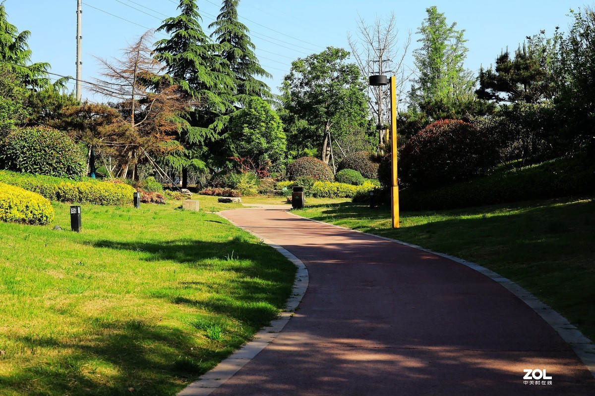 呈上一组渭南春天小景随拍《5》